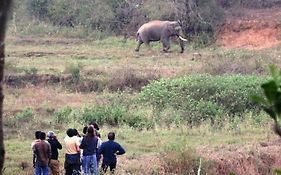 Jungle Retreat Wayanad